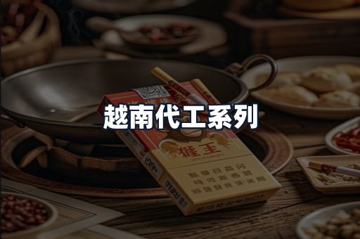 越南代工系列